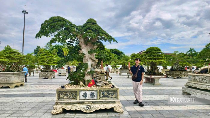 Người dân thích thú chiêm ngưỡng các dáng cây.