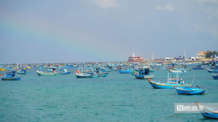 Khu neo đậu tàu cá ở Phú Quý.