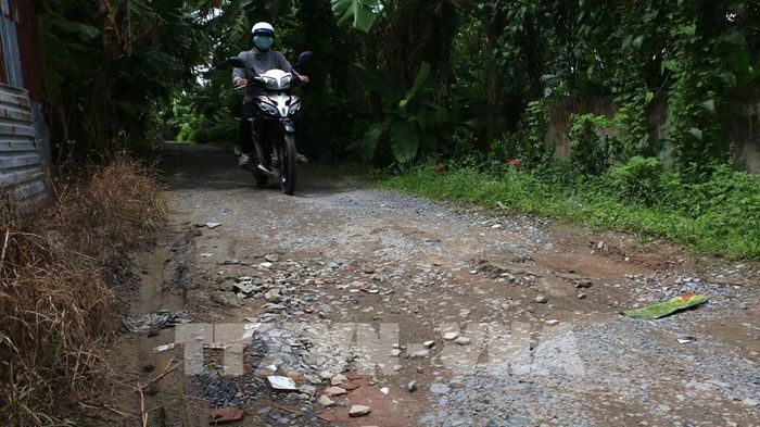 Tuyến đường nông thôn Quang Phong, dài hơn 2km đã xuống cấp nhiều năm qua, khiến việc đi lại của người dân gặp nhiều khó khăn. Ảnh: Duy Khương – TTXVN
