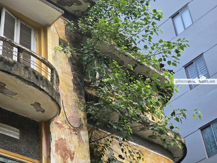 Nhiều khu vực tường, mái và các hạng mục bên ngoài chịu tác động của thời tiết.
