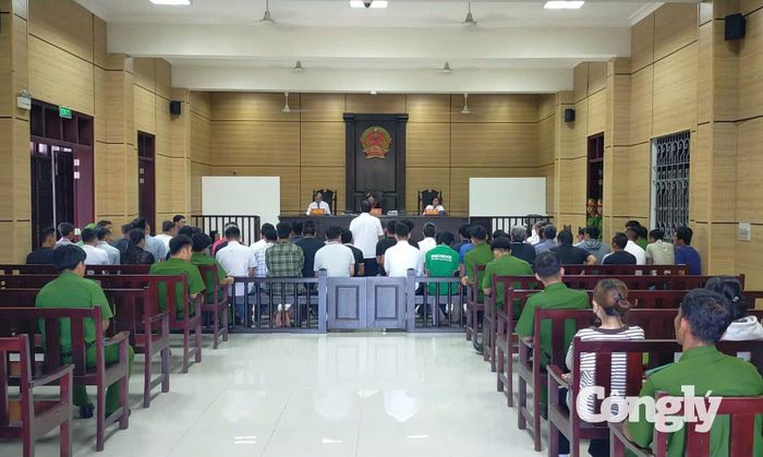 Từ ngày 15/6 – 8/9/2026, TAND khu vực 10 đã thụ lý tổng cộng 5.725 vụ, việc.