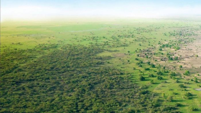 Bức tường xanh vĩ đại. Ảnh: thegreatgreenwall