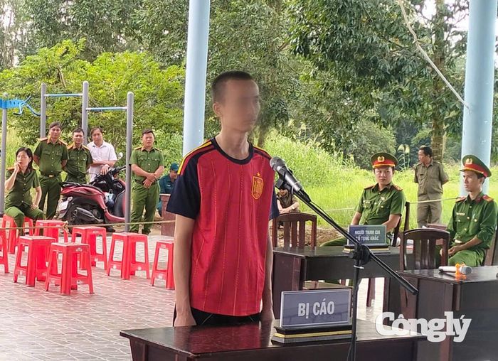 Bị cáo Trần Huỳnh Anh tại phiên tòa xét xử lưu động