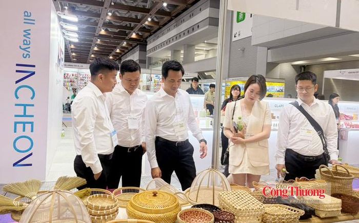 Xúc tiến sản phẩm thủ công mỹ nghệ Hà Nội tại thị trường Nhật Bản.