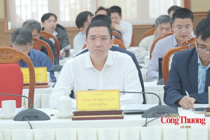 Ông Phan Sỹ Duy, Giám đốc Công ty Điện lực Lâm Đồng tại buổi làm việc.