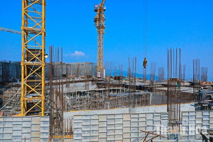 Các kết cấu thép, cột và hệ thống thi công được dựng lên trên công trường.