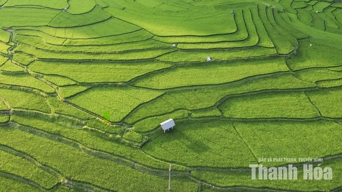 Năm 2019, tour du lịch Quan Sơn - Viêng Xay được khai trương tại bản Ngàm, mở ra hướng phát triển mới cho người dân địa phương. Từ cảnh sắc núi rừng và vốn văn hóa sẵn có, người dân từng bước xây dựng các sản phẩm du lịch để thu hút du khách.