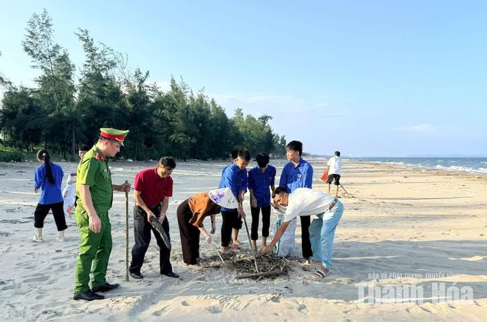 Các lực lượng tham gia dọn sạch bờ biển.