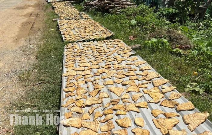 Măng rừng được người dân Bát Mọt sơ chế, phơi khô, trở thành sản vật đậm hương vị núi rừng.