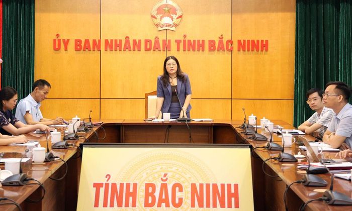 Bà Nguyễn Thị Thu Hương, Phó Giám đốc Sở Y tế Bắc Ninh đóng góp ý kiến.
