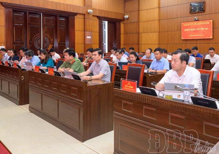 Các đại biểu dự phiên họp.