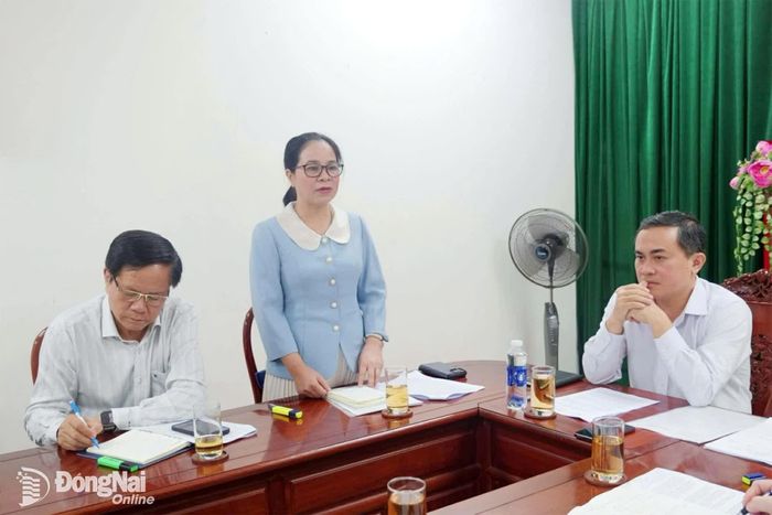 Giám đốc Sở Y tế Đỗ Thị Nguyên báo cáo tại cuộc họp. Ảnh: Hạnh Dung