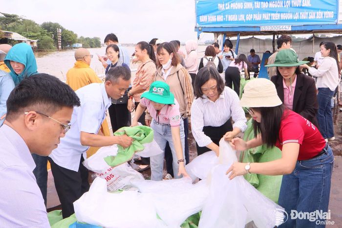 Bao bì, túi ni-lon được thu dọn sau khi thả giống thủy sản xuống sông Đồng Nai. Ảnh: Văn Truyên