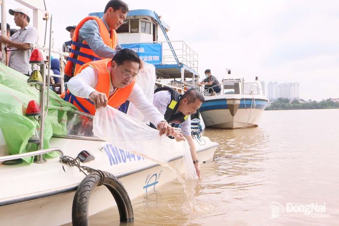 Phó Giám đốc Sở Nông nghiệp và Môi trường thành phố Nguyễn Văn Thắng thả giống thủy sản xuống sông Đồng Nai sáng ngày 9-9. Ảnh: Văn Truyên
