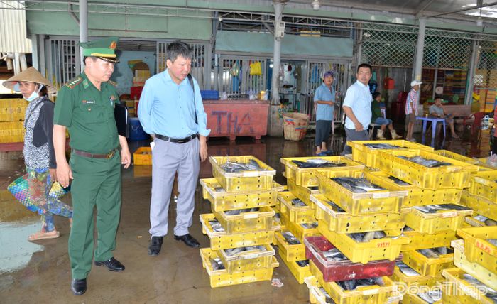 Công tác chống khai thác IUU được các cảng cá thực hiện tốt.