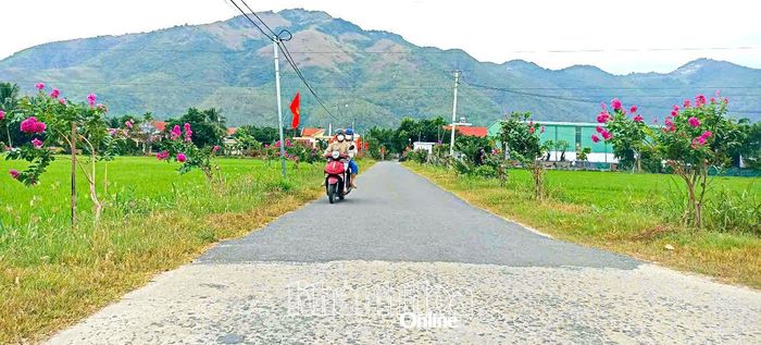 Sau hơn một năm trồng và chăm sóc, những cây bằng lăng ở thôn An Ninh, xã Diên Khánh đã bắt đầu khoe sắc.