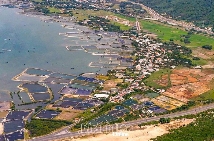 Vùng nuôi trồng thủy sản ở thôn Tuần Lễ, xã Đại Lãnh.