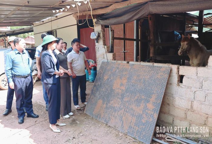 Đoàn công tác khảo sát mô hình chăn nuôi ngựa tại thôn Minh Hiệp, xã Thống Nhất