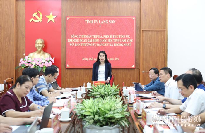 Đồng chí Đoàn Thu Hà, Phó Bí thư Tỉnh ủy, Trưởng Đoàn đại biểu Quốc hội tỉnh phát biểu kết luận buổi làm việc