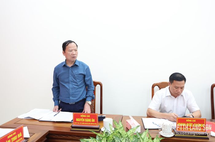 Đồng chí Phó Trưởng Đoàn chuyên trách Đoàn đại biểu Quốc hội tỉnh phát biểu ý kiến tại buổi làm việc