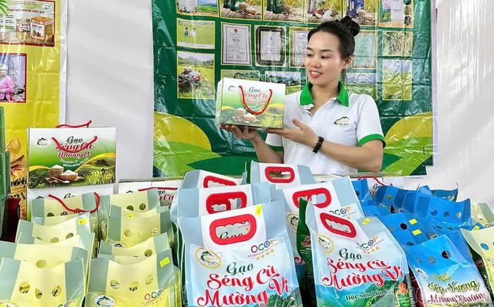 Bà Phạm Thị Hảo - Giám đốc Hợp tác xã Nông nghiệp Hảo Anh, phát triển chuỗi sản xuất, chế biến và kinh doanh gạo Séng Cù Mường Vi.