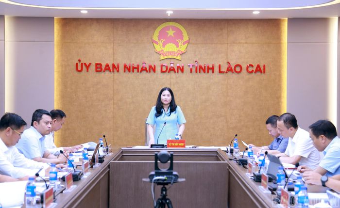 Phó Chủ tịch UBND tỉnh Vũ Thị Hiền Hạnh phát biểu kết luận cuộc họp.