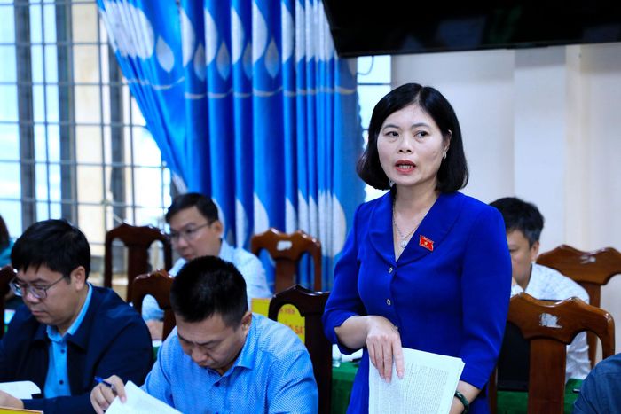 ĐBQH tỉnh Lâm Đồng Trần Thị Oanh đề nghị có đánh giá cụ thể về hiệu quả của các mô hình hỗ trợ sinh kế cho người dân ở Quảng Sơn