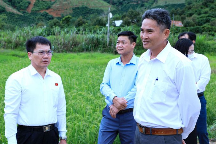 Tỉnh ủy viên, Phó Trưởng đoàn chuyên trách Đoàn ĐBQH tỉnh Lâm Đồng Dương Khắc Mai (đầu tiên bên trái) cùng các thành viên đoàn công tác khảo sát công trình đường giao thông nội vùng thôn 12, xã Quảng Hòa.