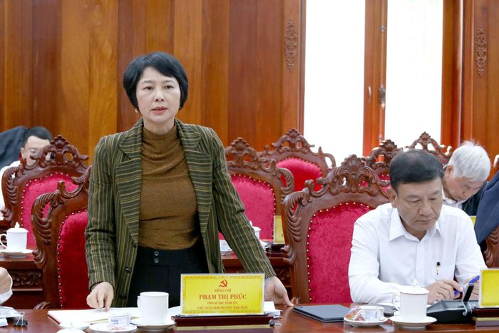 Đồng chí Phạm Thị Phúc, Phó Bí thư Tỉnh ủy, Chủ tịch Ủy ban MTTQ Việt Nam tỉnh phát biểu tại hội nghị