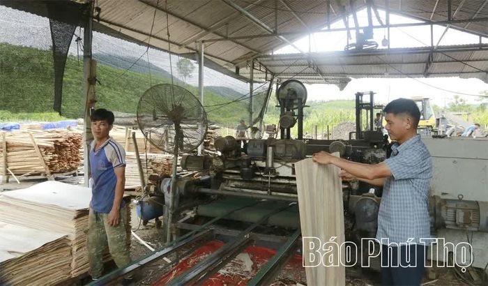 Cơ sở sản xuất ván bóc của anh Đặng Văn Hòa - con trai ông Đặng Đình Điện tạo việc làm, thu nhập ổn định cho nhiều lao động địa phương.