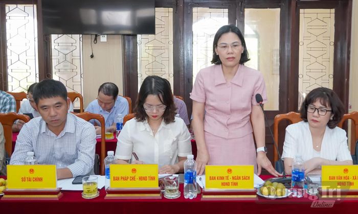 Đại diện lãnh đạo các ban HĐND tỉnh phát biểu tại buổi làm việc - Ảnh: N.H