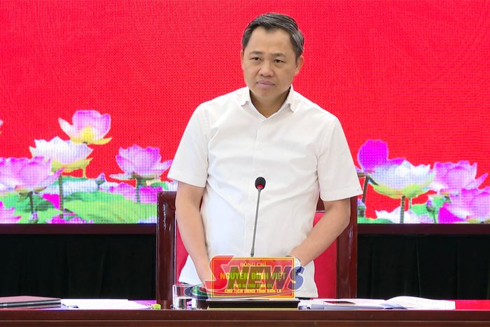 Đồng chí Nguyễn Đình Việt, Phó Bí thư Tỉnh ủy, Chủ tịch UBND tỉnh phát biểu kết luận cuộc làm việc.
