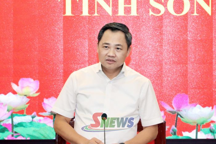 Đồng chí Nguyễn Đình Việt, Phó Bí thư Tỉnh ủy, Chủ tịch UBND tỉnh chủ trì cuộc họp.