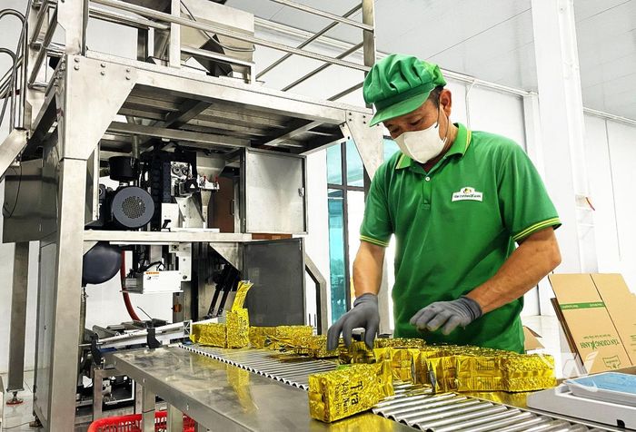 Quy trình đóng gói sản phẩm tại Công ty TNHH Tân Cương Xanh - Chi nhánh Thái Nguyên.