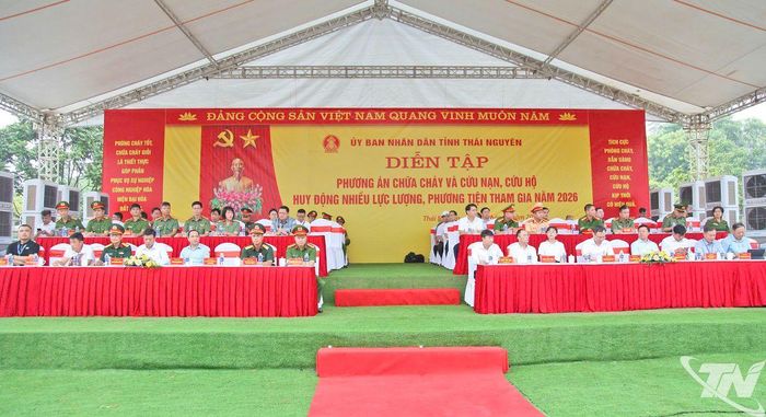 Các đại biểu tham dự cuộc diễn tập.