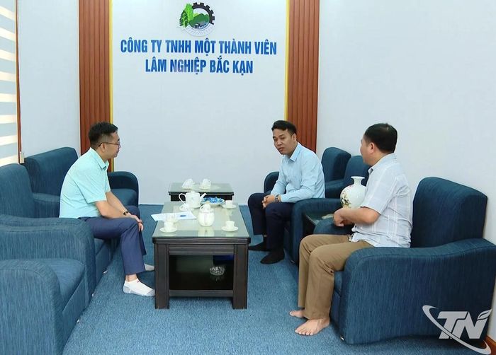 Phóng viên trao đổi với lãnh đạo Công ty TNHH Một thành viên Lâm nghiệp Bắc Kạn về hoạt động của đơn vị và việc tháo gỡ những vướng mắc trong quản lý, sử dụng đất.