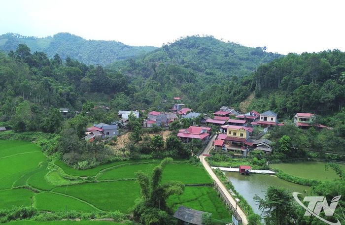 Từ phát triển kinh tế rừng, diện mạo nhiều vùng quê phía Bắc tỉnh Thái Nguyên ngày càng khởi sắc, đời sống người dân từng bước được nâng lên.