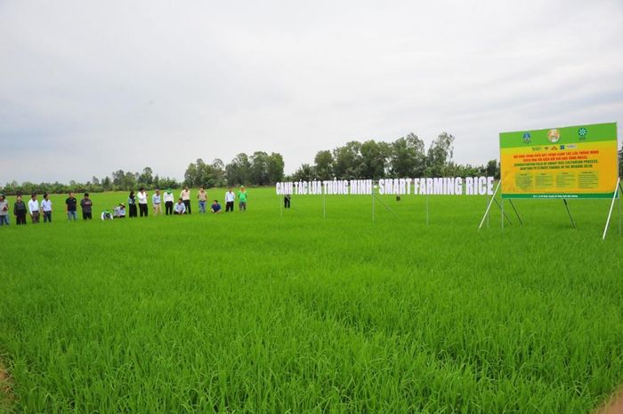 “Hành trình xanh – Đất khoẻ, Cây trồng khoẻ” chương trình được Công ty Cổ phần phân Bón Bình Điền triển khai từ cuối năm 2025, đây là một trong những chương trình trọng điểm của chiến lược "Xanh hóa từ nhà máy đến ruộng vườn"