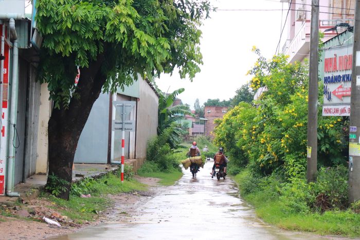 Một trong những dự án đường giao thông nông thôn trên địa bàn tỉnh.