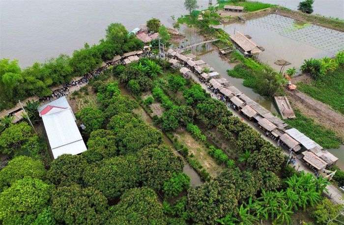 Chợ quê cù lao Tân Thuận Đông nằm cặp bên sông Tiền, xung quanh vườn cây xanh mát