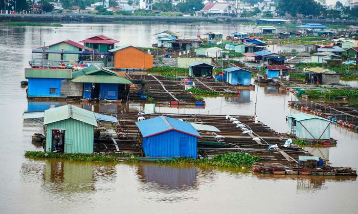 Việc giải tỏa gần 2.000 lồng, bè cần chính sách bảo đảm sinh kế cho người dân. Ảnh: Văn Dũng