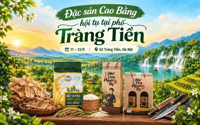 Thông tin chương trình.