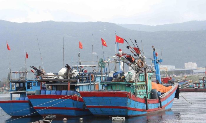 Kiên quyết không để phát sinh tàu cá vi phạm vùng biển nước ngoài, xử lý dứt điểm các trường hợp vi phạm VMS, kiểm soát chặt tàu xuất nhập bến và truy xuất nguồn gốc thủy sản (Ảnh C.T)