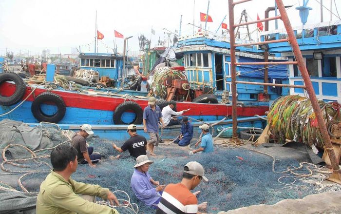 Các tàu không đủ điều kiện hoạt động, tàu “3 không”, tàu hết hạn đăng kiểm hoặc giấy phép khai thác được đưa vào diện quản lý, theo dõi chặt - Ảnh: C.T