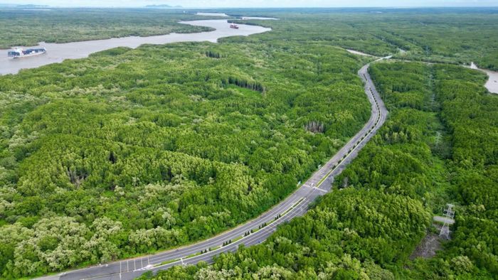 Đến năm 2030, thành phố đặt mục tiêu tỷ lệ che phủ rừng duy trì ổn định ở mức 11%.