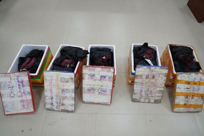 Gần 9.300 kíp nổ được các đối tượng “ngụy trang” trong thùng xốp chứa hàng nông sản
