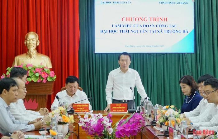 Phó Chủ tịch Thường trực UBND tỉnh Lương Tuấn Hùng phát biểu tại buổi làm việc.