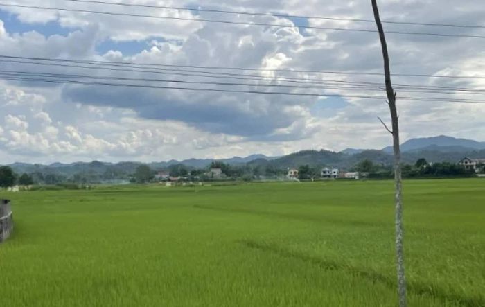 Ngày 10/9/2026, thời tiết trong tỉnh đêm và sáng có mưa rào và dông, ngày trời nắng gián đoạn.