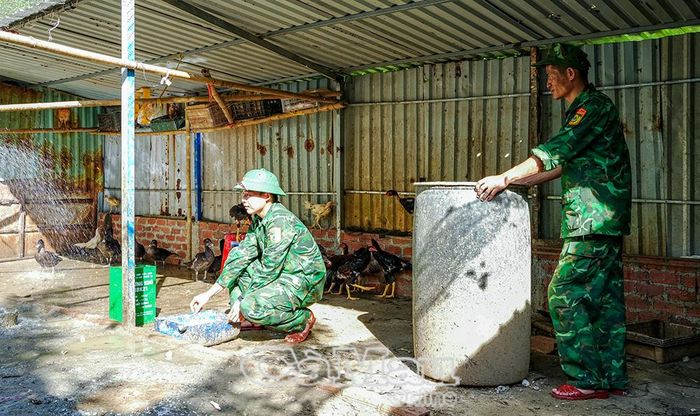 Khu vực chăn nuôi gia cầm, giúp đa dạng nguồn thực phẩm, đảm bảo dinh dưỡng bữa ăn bộ đội.