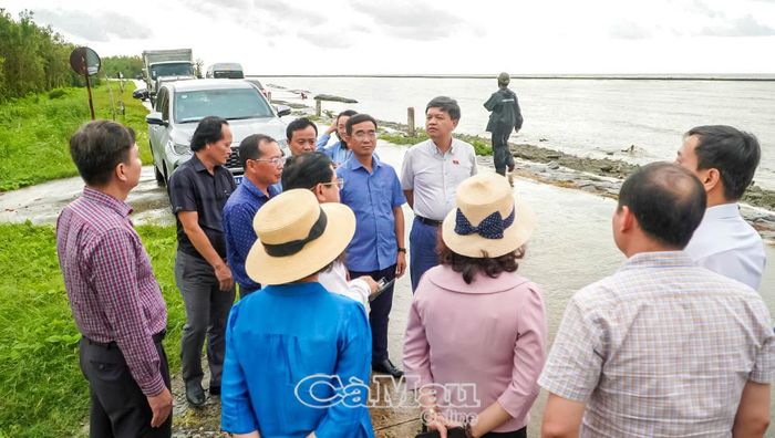 Đoàn công tác Uỷ ban Khoa học, Công nghệ và Môi trường của Quốc hội khảo sát thực tế tại tuyến đê biển Tây tỉnh Cà Mau.